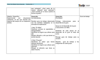 Primer Ciclo Módulo Ciencia Naturales.   Postítulo 2011 –I



                                                    que probaste? ¿Qué parte de tu
                                                    cuerpo utilizaste para saborear?
                                                    ¿Qué sucedió en tu boca cuando el
                                                    aroma te gustó?

Objetivo Especifico                                 Desarrollo:                           Desarrollo:                              Guía de trabajo
Experimentar      con    situaciones                Los educandos:                        El profesor:
cotidianas, en las que asocian los
órganos del cuerpo con su respectivo                Reciben guía de trabajo relacionada Entrega        instrucciones    para  el
sentido.                                            con los sentidos trabajados en la desarrollo de la guía.
                                                    actividad de exploración.
                                                                                            Apoya en el desarrollo de la guía
                                                    -I Item “El olfato”                     a educandos con NEE.
                                                    Clasifican aromas en agradables y
                                                    desagradables.                          Asistente de aula apoya en el
                                                    Identifican el órgano que utilizan para desarrollo de la guía al resto del
                                                    oler.                                   curso
                                                    Dibujan alimento u otro que tienen su
                                                    aroma favorito.                         Recoge guía de trabajo para su
                                                                                            revisión.
                                                    -II Item “El gusto”
                                                    Identifican el sabor que tienen Reparte             guía de trabajo a los
                                                    distintos alimentos.                    integrantes de cada grupo.
                                                    Identifican el órgano que utilizan para
                                                    saborear.
                                                    Dibujan el alimento que tiene su
                                                    sabor favorito.
 