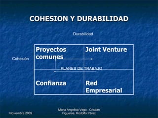 COHESION Y DURABILIDAD Cohesión Durabilidad PLANES DE TRABAJO Red Empresarial Confianza Joint Venture Proyectos comunes 