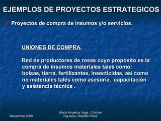 EJEMPLOS DE PROYECTOS ESTRATEGICOS UNIONES DE COMPRA. Red de productores de rosas cuyo propósito es la compra de insumos materiales tales como: bolsas, tierra, fertilizantes, insecticidas, así como no materiales tales como asesoría,  capacitación y asistencia técnica . Proyectos de compra de insumos y/o servicios. 