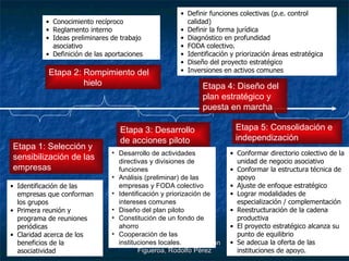 Etapa 1: Selección y sensibilización de las empresas Etapa 2: Rompimiento del  hielo Etapa 3: Desarrollo de acciones piloto Etapa 4: Diseño del plan estratégico y puesta en marcha Etapa 5: Consolidación e independización Identificación de las empresas que conforman los grupos Primera reunión y programa de reuniones periódicas Claridad acerca de los beneficios de la asociatividad Desarrollo de actividades directivas y divisiones de funciones Análisis (preliminar) de las empresas y FODA colectivo Identificación y priorización de intereses comunes Diseño del plan piloto Constitución de un fondo de ahorro Cooperación de las instituciones locales.  Definir funciones colectivas (p.e. control calidad) Definir la forma jurídica Diagnóstico en profundidad FODA colectivo.  Identificación y priorización áreas estratégica Diseño del proyecto estratégico Inversiones en activos comunes Conformar directorio colectivo de la unidad de negocio asociativo Conformar la estructura técnica de apoyo Ajuste de enfoque estratégico Lograr modalidades de especialización / complementación Reestructuración de la cadena productiva El proyecto estratégico alcanza su punto de equilibrio Se adecua la oferta de las instituciones de apoyo.  Conocimiento recíproco Reglamento interno Ideas preliminares de trabajo asociativo Definición de las aportaciones 