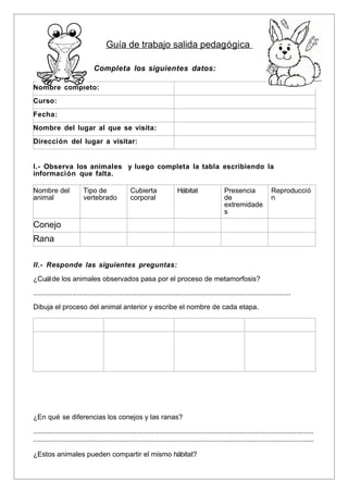 Guía de trabajo salida pedagógica

                               Completa los siguientes datos:

Nombre completo:
Curso:
Fecha:
Nombre del lugar al que se visita:
Dirección del lugar a visitar:


I.- Observa los animales y luego completa la tabla escribiendo la
información que falta.

Nombre del               Tipo de                 Cubierta                Hábitat                  Presencia               Reproducció
animal                   vertebrado              corporal                                         de                      n
                                                                                                  extremidade
                                                                                                  s
Conejo
Rana

II.- Responde las siguientes preguntas:
¿Cuál de los animales observados pasa por el proceso de metamorfosis?

....................................................................................................................................

Dibuja el proceso del animal anterior y escribe el nombre de cada etapa.




¿En qué se diferencias los conejos y las ranas?

................................................................................................................................................
................................................................................................................................................

¿Estos animales pueden compartir el mismo hábitat?
 