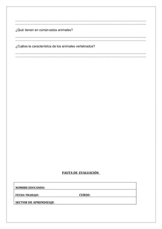 ................................................................................................................................................
................................................................................................................................................

¿Qué tienen en común estos animales?

................................................................................................................................................
................................................................................................................................................

¿Cuál es la característica de los animales vertebrados?

................................................................................................................................................
................................................................................................................................................




                                                   PAUTA DE EVALUACIÓN



NOMBRE EDUCANDO:

FECHA TRABAJO:                                                        CURSO:

SECTOR DE APRENDIZAJE:
 