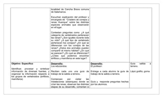 localidad de Cancha Brava comuna
                                      de Salamanca.

                                      Escuchan explicación del profesor y
                                      encargado de “Criadero de conejos y
                                      ranas Huanque” sobre las distintas
                                      especies animales que observarán
                                      en el lugar.

                                      Contestan preguntas como: ¿A qué
                                      categoría de vertebrados pertenecen
                                      las ranas? ¿Son iguales durante toda
                                      su vida? ¿A qué tipo de vertebrado
                                      pertenecen los conejos? ¿En qué se
                                      diferencian con los conejos de las
                                      ranas? ¿Estos dos animales pueden
                                      compartir el mismo hábitat? ¿En qué
                                      se parecen? ¿En qué se diferencian?
                                      ¿Crees que podemos encontrar
                                      anfibios y mamíferos en este lugar?

Objetivo Especifico                   Desarrollo:                              Desarrollo:                        Guía     salida   a
                                      Los educandos:                           El profesor:                       terreno.
Identificar, procesar y sintetizar
información de diversas fuentes; y Reciben cada uno una guía de                Entrega a cada alumno la guía de Lápiz grafito, goma.
organizar la información respecto a trabajo de la salida a terreno.            trabajo de la salida a terreno.
los grupos de vertebrados (anfibios,
mamíferos)                           Comienzan        por     visitar    las
                                     instalaciones (estanques) donde se        Guía y responde preguntas hechas
                                     crían las ranas, observan las distintas   por los alumnos.
                                     etapas de su desarrollo, comentan si
 