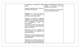 los individuos son iguales en estas Apoya al encargado de criadero en
etapas.                             relación a los temas que debe
                                    abordar con los alumnos
Realizan preguntas sobre el tema al
encargado o al profesor.            Apoya a los alumnos en la resolución
                                    de la guía de salida a terreno.

Registran en su guía el tipo de
vertebrado al cual pertenece el
animal que están observando.

Observan la especies ya adultas,
registran en su guía lo que observan(
cubierta corporal, hábitat, presencia
de     extremidades,      forma    de
reproducción)
Los alumnos visitan las instalaciones
donde se crían los conejos (corrales,
jaulas, maternidad)

Identifican el tipo de vertebrado al
cual pertenecen los animales que
están observando.

Observan y escuchan explicación del
encargado sobre las distintas etapas
de su desarrollo

Registran las principales diferencias
que observan entre el desarrollo de
los conejos y las ranas (ciclo de vida
 