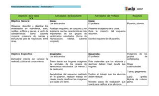 Primer Ciclo Módulo Ciencia Naturales.   Postítulo 2011 –I




       Objetivos de la clase                                 Actividades del Estudiante              Actividades del Profesor           Recursos
                  Nº4
Objetivo General                                    Inicio:                                    Inicio:
                                                    Los educandos:                             El profesor:                        Pizarrón, plumón.
Observar, describir y clasificar los
vertebrados en mamíferos, aves,                     Realizan esquema, en conjunto y en         Presenta el objetivo de la clase.
reptiles, anfibios y peces, a partir de             la pizarra, con las características más    Guía la creación del esquema
características      como     cubierta              importantes de los grupos de               resumen.
corporal, presencia de mamas y                      vertebrados estudiados (forma de
estructuras para la respiración, entre              reproducción,      hábitat,     cubierta   Escribe esquema en el pizarrón.
otras.                                              corporal).




Objetivo Especifico                                 Desarrollo:                                Desarrollo:                         Imágenes de         los
                                                    Los educandos:                             El profesor:                        grupos               de
Demostrar interés por conocer la                                                                                                   vertebrados.
realidad y utilizar el conocimiento. Traen desde sus hogares imágenes Pide materiales que los alumnos y
                                     de animales de los grupos de alumnas debían traer desde sus Hojas
                                     vertebrados estudiados. (al menos 2 hogares.                             cuadriculadas.
                                     de cada uno)
                                                                                                              Tijera y pegamento.
                                     Apoyándose del esquema realizado Explica el trabajo que los alumnos
                                     en el pizarrón, realizan trabajo en deben realizar.                      Lápiz        grafito,
                                     clases donde clasifican las imágenes                                     lápices de colores,
                                     que cada uno tiene.                  Muestra pauta de evaluación que goma.
                                                                          usará para calificar a los alumnos.
 