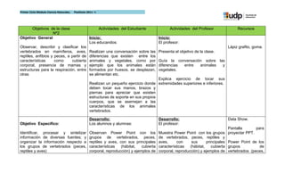 Primer Ciclo Módulo Ciencia Naturales.   Postítulo 2011 –I




       Objetivos de la clase                                 Actividades del Estudiante            Actividades del Profesor             Recursos
                  Nº2
Objetivo General                                    Inicio:                                  Inicio:
                                                    Los educandos:                           El profesor:
Observar, describir y clasificar los                                                                                               Lápiz grafito, goma.
vertebrados en mamíferos, aves,                     Realizan una conversación sobre las      Presenta el objetivo de la clase.
reptiles, anfibios y peces, a partir de             diferencias que existen entre los
características      como     cubierta              animales y vegetales, como por           Guía la conversación sobre las
corporal, presencia de mamas y                      ejemplo que los animales están           diferencias entre  animales  y
estructuras para la respiración, entre              formados por huesos, se desplazan,       vegetales.
otras                                               se alimentan etc.
                                                                                          Explica ejercicio de tocar sus
                                                    Realizan un pequeño ejercicio donde extremidades superiores e inferiores.
                                                    deben tocar sus manos, brazos y
                                                    piernas para apreciar que existen
                                                    estructuras de soporte en sus propios
                                                    cuerpos, que se asemejan a las
                                                    características de los animales
                                                    vertebrados.

                                                    Desarrollo:                              Desarrollo:                           Data Show.
Objetivo Especifico:                                Los alumnos y alumnas:                   El profesor:
                                                                                                                                     Pantalla      para
Identificar, procesar y sintetizar                  Observan Power Point con los             Muestra Power Point con los grupos proyectar PPT.
información de diversas fuentes; y                  grupos de vertebrados, peces,            de vertebrados, peces, reptiles y
organizar la información respecto a                 reptiles y aves, con sus principales     aves,      con     sus      principales Power Point de los
los grupos de vertebrados (peces,                   características   (hábitat,   cubierta   características   (hábitat,    cubierta grupos          de
reptiles y aves)                                    corporal, reproducción) y ejemplos de    corporal, reproducción) y ejemplos de vertebrados (peces,
 