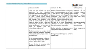 Primer Ciclo Módulo Ciencia Naturales.   Postítulo 2011 –I



                                                    cada uno de ellos.                        cada uno de ellos.                      reptiles y aves).

                                                    Cada vez que revisan un grupo             Realiza preguntas sobre cada grupo      Imágenes de los
                                                    responden       a   las   siguientes      visto. ¿Has visto alguna vez un pez?    animales (lagarto,
                                                    preguntas, según corresponda: ¿Has        ¿Cómo es su piel? ¿Sabes cómo           lagartija,        loro,
                                                    visto alguna vez un pez? ¿Cómo es         pueden respirar en el agua? ¿Has        paloma,       salmón,
                                                    su piel? ¿Sabes cómo pueden               observado una tortuga o una             gallina, pato y atún).
                                                    respirar en el agua? ¿Has observado       lagartija? ¿Has tenido la oportunidad
                                                    una tortuga o una lagartija? ¿Has         de pasar tu mano por sobre su piel?
                                                    tenido la oportunidad de pasar tu         ¿Qué aves has visto? ¿Se parecen
                                                    mano por sobre su piel? ¿Qué aves         en algo a los otros vertebrados?        Lámina de cartulina
                                                    has visto? ¿Se parecen en algo a los      ¿Para qué les sirven a algunas aves     para     tabla   de
                                                    otros vertebrados? ¿Para qué les          sus extremidades superiores?            características.
                                                    sirven    a    algunas  aves     sus
                                                    extremidades superiores?                  Explica actividad en parejas sobre Tijera,       pegamento,
                                                                                              clasificación de algunos animales. regla.
                                                    Realizan actividad en parejas donde
                                                    deben clasificar diferentes animales,
                                                    perteneciente a los grupos vistos en Entrega material. Imágenes, cartulina
                                                    el Power Point.                       para la tabla.

                                                    Se les entrega en parejas imágenes
                                                    de un lagarto, lagartija, loro, paloma,
                                                    salmón, gallina, pato y atún.

                                                    En una lámina de cartulina deben
                                                    realizar una cubierta corporal.
 