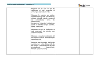 Primer Ciclo Módulo Ciencia Naturales.   Postítulo 2011 –I



                                                    Registran en su guía el tipo de
                                                    vertebrado al cual pertenece el
                                                    animal que están observando.

                                                    Observan la especies ya adultas,
                                                    registran en su guía lo que observan(
                                                    cubierta corporal, hábitat, presencia
                                                    de     extremidades,      forma    de
                                                    reproducción)
                                                    Los alumnos visitan las instalaciones
                                                    donde se crían los conejos (corrales,
                                                    jaulas, maternidad)

                                                    Identifican el tipo de vertebrado al
                                                    cual pertenecen los animales que
                                                    están observando.

                                                    Observan y escuchan explicación del
                                                    encargado sobre las distintas etapas
                                                    de su desarrollo

                                                    Registran las principales diferencias
                                                    que observan entre el desarrollo de
                                                    los conejos y las ranas (ciclo de vida
                                                    principalmente         metamorfosis,
                                                    hábitats que comparten ).
 