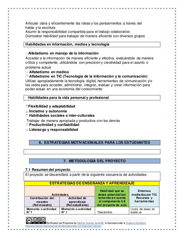 Planificador de proyectos jas luz - original