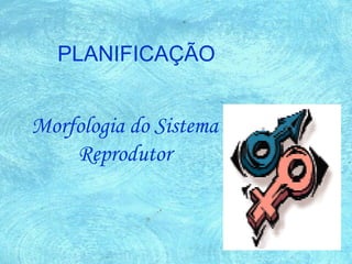 Morfologia do Sistema
Reprodutor
PLANIFICAÇÃO
 