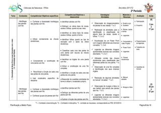 Ciências da Natureza - 5ºAno Ano letivo 2011/12
Planificação a Médio Prazo Página 8 de 16
*1 – Combate à desmotivação; *2 – Combate à indisciplina, *3 - combate ao insucesso, correspondente ao PEE 2010/2014.
1-DiversidadedeSeresVivosesuasInteraçõescomomeio
1.2–DiversidadenasPlantas
- Morfologia
das plantas
com flor.
- Morfologia
das plantas
sem flor.
 Conhecer a diversidade morfológica
das plantas com flor.
 Utilizar corretamente as chaves
dicotómicas.
 Compreender a constituição de
uma planta com flor.
 Reconhecer a função de cada uma
das partes de uma planta.
 Usar vocabulário específico da
disciplina.
 Conhecer a diversidade morfológica
das plantas sem flor.
 Conhecer grupos de plantas sem flor
 Identificar plantas com flor.
 Distinguir os vários tipos de raízes,
caules e folhas, quanto ao seu meio.
 Identificar os vários tipos de raízes,
caules e folhas, quanto à forma.
 Identificar folhas quanto ao tipo de
nervação com o apoio da chave
dicotómica.
 Classificar cada uma das partes de
uma planta com recurso às chaves
dicotómicas.
 Identificar os órgãos de uma planta
com flor.
 Indicar a constituição de uma flor
completa.
 Identificar a função de cada uma das
partes de uma planta.
 Responder às questões solicitadas de
forma a utilizar o vocabulário próprio.
 Identificar plantas sem flor.
 Distinguir as diferentes partes de uma
planta sem flor.
 Explicar a função das plantas sem flor.
 Observação de imagens/acetatos
de plantas no seu habitat. *1 e 3
 Realização de atividades para a
identificação e classificação de
alguns tipos de raízes, caules e
folhas. *1, 2 e 3
 Visualização de um Power Point
com imagens referentes aos diversos
conceitos. *1, 2 e3
 Legendar as diferentes imagens
apresentadas alusivas aos conceitos
abordados. *1, 2 e 3
 Utilização correta das chaves
dicotómicas para classificação das
diferentes partes de uma planta. *1 e
3.
 Observação de uma flor completa
e identificação dos seus diversos
órgãos.
 Resolução de algumas atividades
do manual “Já sabes”. *1 e 3
 Observação de musgos e fetos no
seu habitat, para estudo das plantas
sem flor. *1 e 3
 Legendar as diferentes imagens
apresentadas alusivas aos conceitos
abordados. *1, 2 e 3
 Quadro e giz
 Acetatos
 Raízes, caules
e folhas
 Legendas
 Computador e
vídeo Projetor
 Power Point
 Legendas
 Chaves
dicotómicas
 Manual
adotado
 Musgos e fetos
 Legendas
 Participação
 Empenho
 Preenchimento
de legendas.
 Trabalhos de
casa.
 Questões do
manual.
(8)
3 jan
a
17 jan
(3)
20 jan
a
27 jan
Tema Conteúdos Competências/ Objetivos específicos
Competências/Objetivos a
desenvolver
Estratégias/
Atividades
Materiais e
Recursos
Avaliação Aulas
2º Período
 