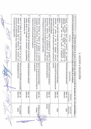 Plan igualdad lidl_052013