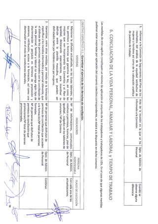 Plan igualdad lidl_052013