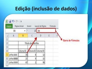 Edição (inclusão de dados)
 