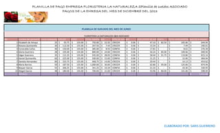 PLANILLA DE PAGO EMPRESA FLORISTERIA LA NATURALEZA SPlanilla de sueldos ASOCIADO
PAGOS DE LA EMRESA DEL MES DE DICIEMBRE DEL 2013

PLANILLA DE SUELDOS DEL MES DE JUNIO

N0
1
2
3
4
5
6
7
8
9
10

nombre del personal horas trabajadas SUELDO
Elizabeth de Amaya
25 $
93.75
Roxana Quintanilla
30 $ 112.50
Esmeralda Cañas
40 $ 150.00
Gloria Guerrero
28 $ 105.00
Edgar Guerrero
35 $ 131.25
Daniel Quintanilla
60 $ 225.00
Daniela Hernandez
89 $ 333.75
Maria Barrios
50 $ 187.50
Bequer Garcia
55 $ 206.25
Abigail Garcia
48 $ 180.00
TOTALES

BONO
$
135.00
$
135.00
$
135.00
$
135.00
$
135.00
$
135.00
$
135.00
$
135.00
$
135.00
$
135.00

FLORISTERIA LA NATURALEZA S&N ASOCIADO
TOTAL INGRESO ISSS
TIPOS DE AFP AFP
$
750.00 $ 22.50 CRECER
$
$
247.50 $ 7.43 CRECER
$
$
285.00 $ 8.55 CONFIA
$
$
800.00 $ 24.00 CRECER
$
$
935.00 $ 28.05 CONFIA
$
$
500.00 $ 15.00 CONFIA
$
$
468.75 $ 14.06 CRECER
$
$ 1,000.00 $ 30.00 CRECER
$
$
341.25 $ 10.24 CONFIA
$
$
700.00 $ 21.00 CRECER
$
$ 180.83

0.06
0.06
0.06
0.06
0.06
0.06
0.06
0.06
0.06
0.06

DESCUENTO DE AFP RENTA
$
47.10 $ 82.50
$
15.54 $
$
17.81 $
$
50.24 $ 85.00
$
58.44 $ 91.75
$
31.25 $
$
29.44 $
$
62.80 $ 95.00
$
21.33 $
$
43.96 $ 80.00

TOTAL DESCUENTOS
$
105.06
$
7.49
$
8.61
$
109.06
$
119.86
$
15.06
$
14.13
$
125.06
$
10.30
$
101.06

SUELDO A PAGAR
$
644.94
$
240.01
$
276.39
$
690.94
$
815.14
$
484.94
$
454.62
$
874.94
$
330.95
$
598.94
$
5,411.80

ELABORADO POR: SARIS GUERRERO

 