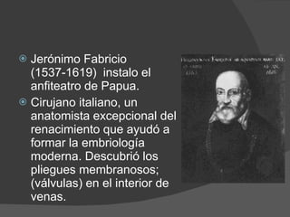 Jerónimo Fabricio (1537-1619)   instalo el anfiteatro de Papua. Cirujano italiano, un anatomista excepcional del renacimiento que ayudó a formar la embriología moderna. Descubrió los pliegues membranosos; (válvulas) en el interior de venas.  