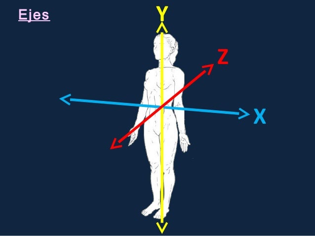 Resultado de imagen de plano x y z anatomia