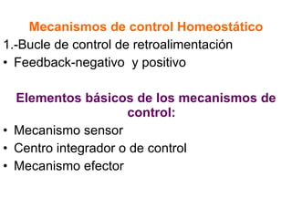 <ul><li>Mecanismos de control Homeostático </li></ul><ul><li>1.-Bucle de control de retroalimentación </li></ul><ul><li>Fe...