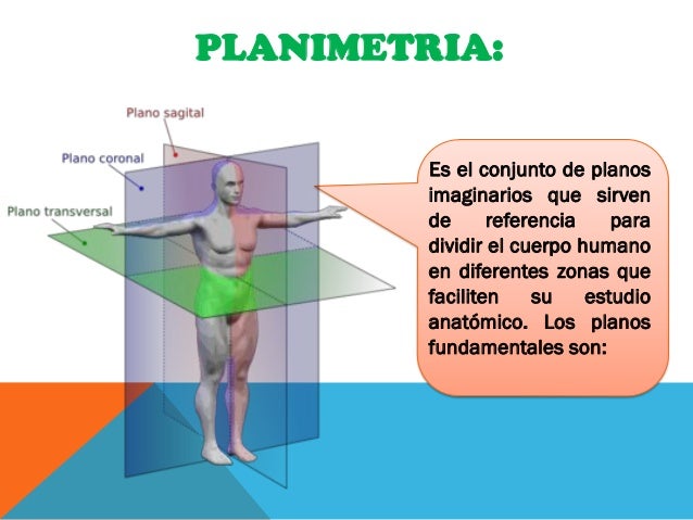 Planimetria