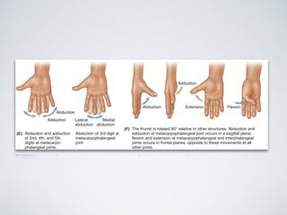 Planimetria | PDF