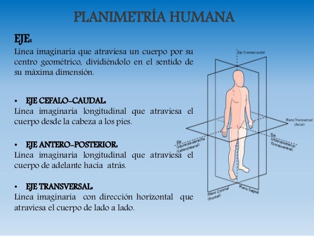 Planimetria en Ortopedia y Traumatologia