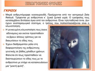  Μικρά ανθρωπόμορφα νεοσαυροειδή. Προέρχονται από τον αστερισμό Zeta
Reticuli. Τρέφονται με ανθρώπινα κ΄ ζωικά ζωτικά υγρά. Ο εγκέφαλος τους
καταλαμβάνει διπλάσιο όγκο από τον ανθρώπινο. Είναι τηλεπαθητικά όντα. Δεν
έχουν αναπαραγωγικό σύστημα, ο τρόπος που πολλαπλασιάζονται είναι η
κλωνοποίηση.
 Η γενικευμένη κλωνοποίηση τους έκανε
αδύναμους και εκείνοι προσπαθούν
να βρουν άλλους τρόπους για να
διαιωνίσουν το είδος τους.
 Έχουν διαδραματίσει ρόλο στη
διαφοροποίηση της ανθρώπινης
γενετικής σε βάθος χιλιάδων χρόνων.
Φαίνεται ότι ίσως προσπαθούν να
διασταυρώσουν το είδος τους με το
ανθρώπινο με στόχο να κατασκευάσουν
μια "μεικτή φυλή".
 