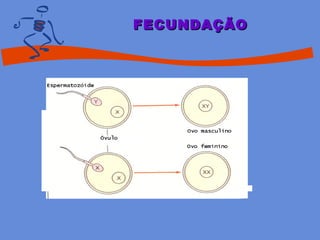 FECUNDAÇÃOFECUNDAÇÃO
 