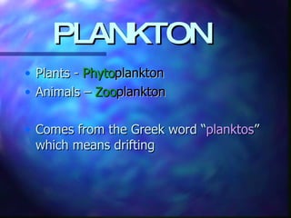 PLANKTON Plants -  Phyto plankton Animals –  Zoo plankton Comes from the Greek word “ planktos ” which means drifting 