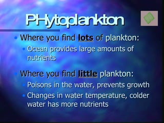 PHytoplankton Where you find  lots  of  plankton: Ocean provides large amounts of nutrients Where you find  little   plankton: Poisons in the water, prevents growth Changes in water temperature, colder water has more nutrients 