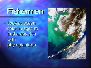 Fishermen Look at ocean color images to find areas rich with phytoplankton 