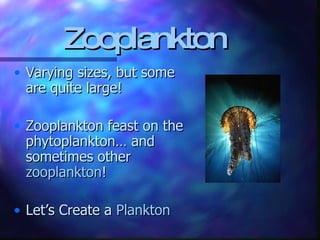 Zooplankton Varying sizes, but some are quite large! Zooplankton feast on the phytoplankton… and sometimes other  zooplankton ! Let’s Create a  Plankton 