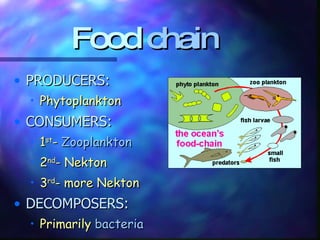 Food  chain PRODUCERS:  Phytoplankton CONSUMERS: 1 st -  Zooplankton 2 nd - Nekton 3 rd - more Nekton DECOMPOSERS: Primarily  bacteria 