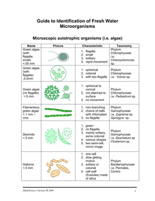 Guide to Identification of Fresh Water
                       Microorganisms

        Microscopic autotrophic organisms (i.e. algae)
    Name                  Picture   Characteristic              Taxonomy
Green algae                                                Phylum
                                    1.   flagella
(with                                                      Chlorophyceae
                                    2.   small
flagella,                                                  i.e.
                                    3.   solitary
small)                                                     Chlamyolomonas
                                    4.   rapid movement
<.05 mm                                                    sp.
Green algae
                                    1. spherical           Phylum
(with
                                    2. colonial            Chlorophyceae
flagella)
                                    3. with two flagella   i.e. Volvox sp.
.5-2mm

                                    1. spherical to
Green algae                            conical             Phylum
(no flagella)                       2. not attached to     Chlorophyceae
 <.5 mm                                surface             i.e. Pediastrum sp.
                                    3. no movement

Filamentous                         1. non branching       Phylum
green algae                         2. chains of cells     Gamophyceae
<.1 mm –                               with chloroplast    i.e. Zygnema sp.
cms                                 3. no flagella         Spirogyra sp.

                                    1. green
                                    2. no flagella
                                                           Phylum
                                    3. mainly solitary,
Desmids                                                    Gamophyceae
                                       some colonial
<.5 mm                                                     i.e. Desmidium sp
                                    4. various shapes
                                                           Closterium sp.
                                    5. two semi-cell,
                                       mirror image

                                    1. one cell
                                    2. slow gliding
                                       motion              Phylum
Diatoms                             3. solitary or         Bacillariophyceae
<.5 mm                                 colonial            i.e. Pennales,
                                    4. cell wall           Centric
                                       (frustules) made
                                       of silica


Math/Science Nucleus © 2004                                                   1
 