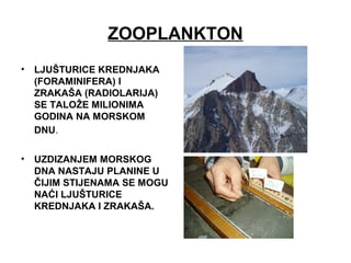 ZOOPLANKTON
• LJUŠTURICE KREDNJAKA
(FORAMINIFERA) I
ZRAKAŠA (RADIOLARIJA)
SE TALOŽE MILIONIMA
GODINA NA MORSKOM
DNU.
• UZDIZANJEM MORSKOG
DNA NASTAJU PLANINE U
ČIJIM STIJENAMA SE MOGU
NAĆI LJUŠTURICE
KREDNJAKA I ZRAKAŠA.
 