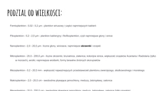 podzialodwielkosci:
Femtoplankton - 0,02 - 0,2 μm - plankton wirusowy i części najmniejszych bakterii
Pikoplankton - 0,2 - 2,0 μm - plankton bakteryjny i fitofikoplankton, czyli najmniejsze glony i sinice
Nanoplankton - 2,0 - 20,0 μm - liczne glony, wiciowce, najmniejsze okrzemki i orzęski
Mikroplankton - 20,0 - 200,0 μm - liczne okrzemki, brunatnice, zielenice, kolonijne sinice, większość orzęsków Acantaria i Radiolaria (tylko
w morzach), wrotki, najmniejsze wioślarki, formy larwalne drobnych skorupiaków
Mezoplankton - 0,2 - 20,0 mm - większość najważniejszych przedstawicieli planktonu zwierzęcego, słodkowodnego i morskiego
Makroplankton - 2,0 - 20,0 cm - swobodnie pływające jamochłony, meduzy, żebropławy, osłonice
 