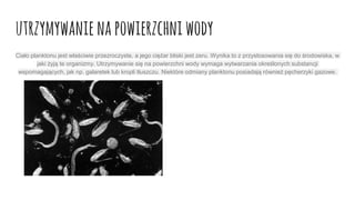 utrzymywanienapowierzchniwody
Ciało planktonu jest właściwie przezroczyste, a jego ciężar bliski jest zeru. Wynika to z przystosowania się do środowiska, w
jaki żyją te organizmy. Utrzymywanie się na powierzchni wody wymaga wytwarzania określonych substancji
wspomagających, jak np. galaretek lub kropli tłuszczu. Niektóre odmiany planktonu posiadają również pęcherzyki gazowe.
 