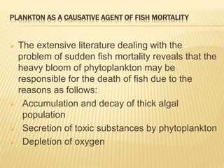 PLANKTON AS A CAUSATIVE AGENT OF FISH MORTALITY
 The extensive literature dealing with the
problem of sudden fish mortality reveals that the
heavy bloom of phytoplankton may be
responsible for the death of fish due to the
reasons as follows:
 Accumulation and decay of thick algal
population
 Secretion of toxic substances by phytoplankton
 Depletion of oxygen
 