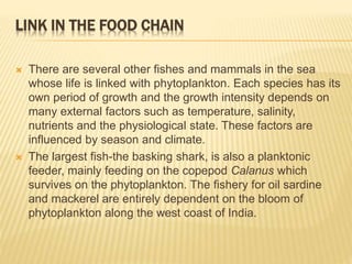 LINK IN THE FOOD CHAIN
 There are several other fishes and mammals in the sea
whose life is linked with phytoplankton. Ea...