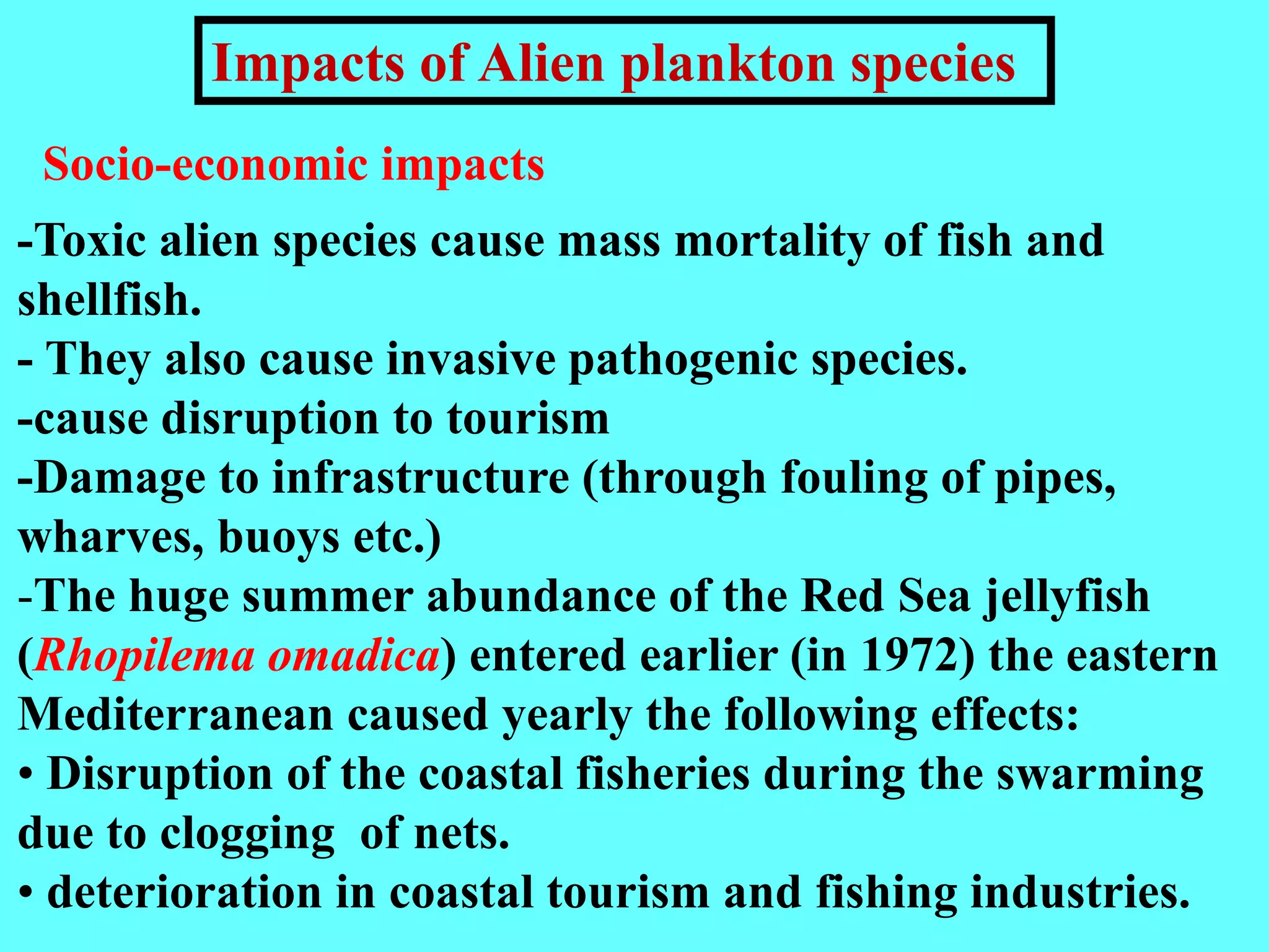 -Toxic alien species cause mass mortality of fish and
shellfish.
- They also cause invasive pathogenic species.
-cause disruption to tourism
-Damage to infrastructure (through fouling of pipes,
wharves, buoys etc.)
-The huge summer abundance of the Red Sea jellyfish
(Rhopilema omadica) entered earlier (in 1972) the eastern
Mediterranean caused yearly the following effects:
• Disruption of the coastal fisheries during the swarming
due to clogging of nets.
• deterioration in coastal tourism and fishing industries.
Socio-economic impacts
Impacts of Alien plankton species
 