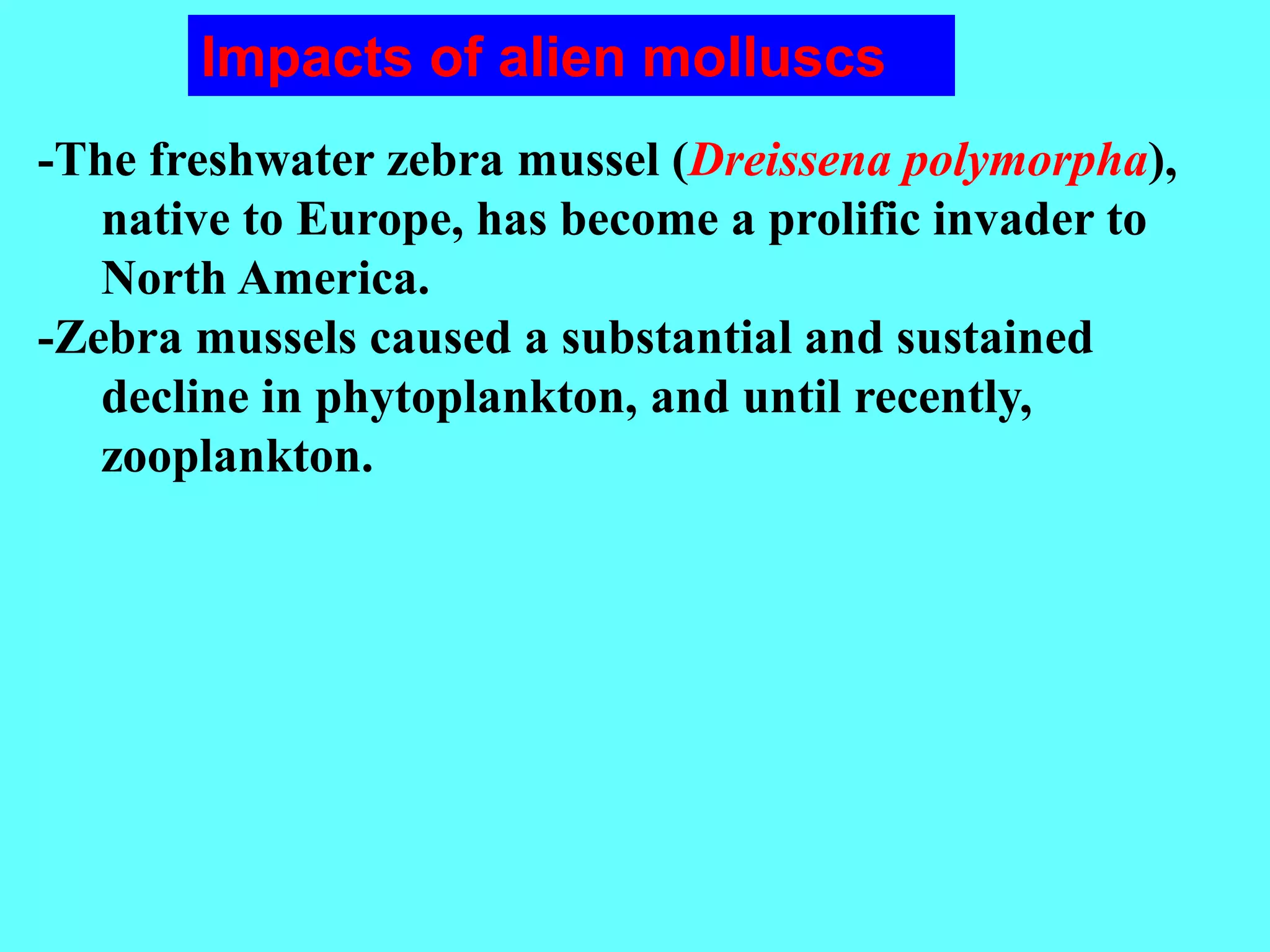 -The freshwater zebra mussel (Dreissena polymorpha),
native to Europe, has become a prolific invader to
North America.
-Zebra mussels caused a substantial and sustained
decline in phytoplankton, and until recently,
zooplankton.
Impacts of alien molluscs
 
