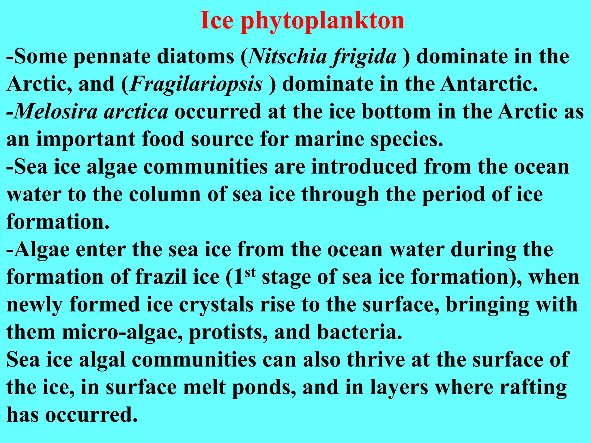 -Some pennate diatoms (Nitschia frigida ) dominate in the
Arctic, and (Fragilariopsis ) dominate in the Antarctic.
-Melosira arctica occurred at the ice bottom in the Arctic as
an important food source for marine species.
-Sea ice algae communities are introduced from the ocean
water to the column of sea ice through the period of ice
formation.
-Algae enter the sea ice from the ocean water during the
formation of frazil ice (1st stage of sea ice formation), when
newly formed ice crystals rise to the surface, bringing with
them micro-algae, protists, and bacteria.
Sea ice algal communities can also thrive at the surface of
the ice, in surface melt ponds, and in layers where rafting
has occurred.
Ice phytoplankton
 