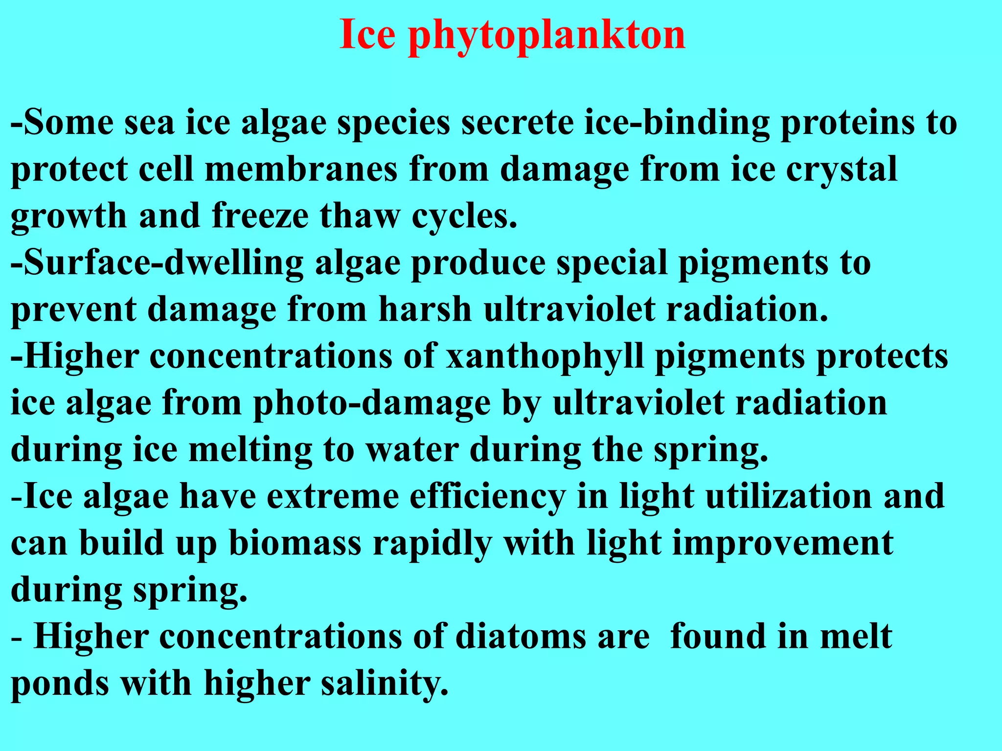 -Some sea ice algae species secrete ice-binding proteins to
protect cell membranes from damage from ice crystal
growth and freeze thaw cycles.
-Surface-dwelling algae produce special pigments to
prevent damage from harsh ultraviolet radiation.
-Higher concentrations of xanthophyll pigments protects
ice algae from photo-damage by ultraviolet radiation
during ice melting to water during the spring.
-Ice algae have extreme efficiency in light utilization and
can build up biomass rapidly with light improvement
during spring.
- Higher concentrations of diatoms are found in melt
ponds with higher salinity.
Ice phytoplankton
 
