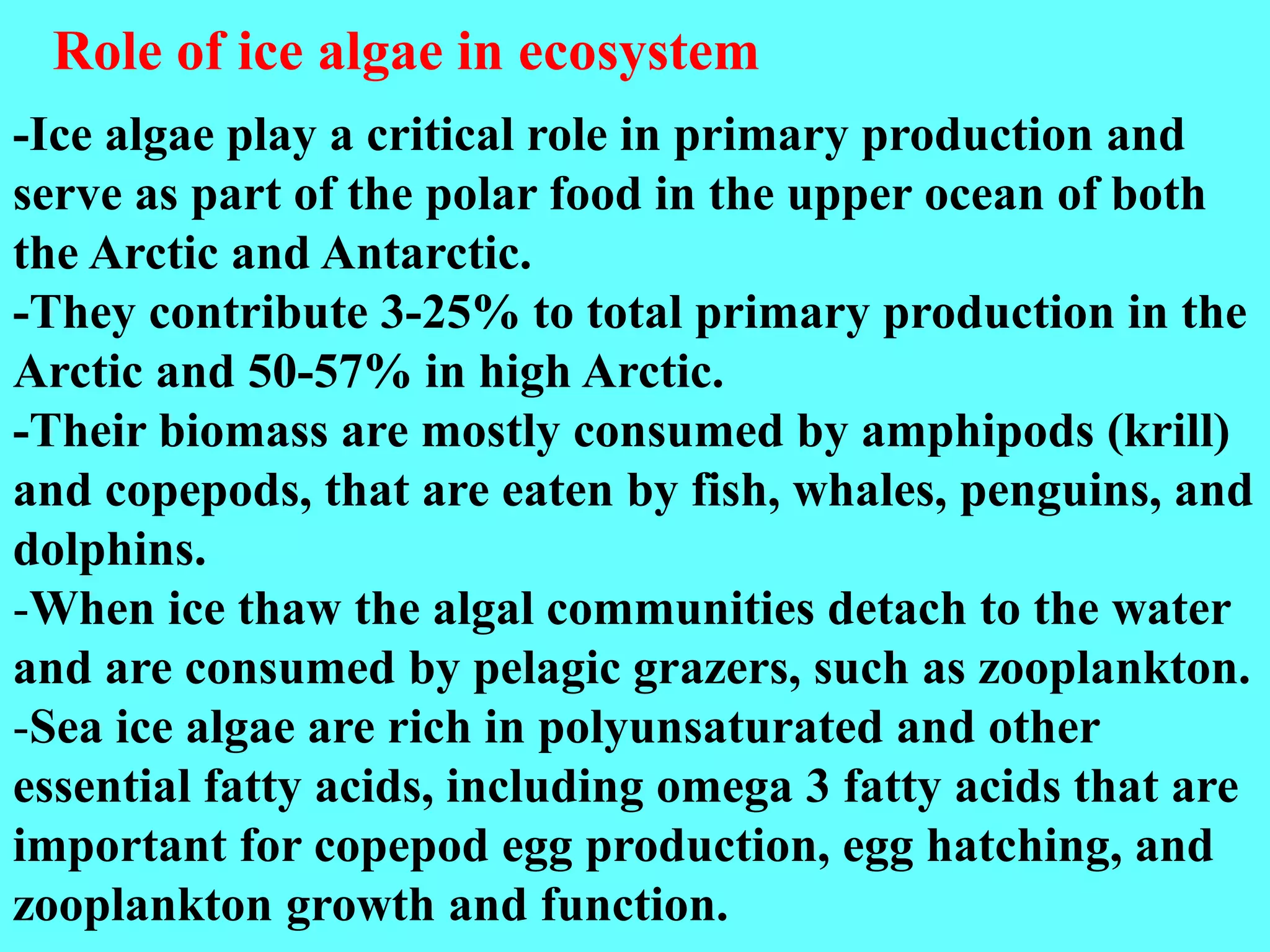 -Ice algae play a critical role in primary production and
serve as part of the polar food in the upper ocean of both
the Arctic and Antarctic.
-They contribute 3-25% to total primary production in the
Arctic and 50-57% in high Arctic.
-Their biomass are mostly consumed by amphipods (krill)
and copepods, that are eaten by fish, whales, penguins, and
dolphins.
-When ice thaw the algal communities detach to the water
and are consumed by pelagic grazers, such as zooplankton.
-Sea ice algae are rich in polyunsaturated and other
essential fatty acids, including omega 3 fatty acids that are
important for copepod egg production, egg hatching, and
zooplankton growth and function.
Role of ice algae in ecosystem
 