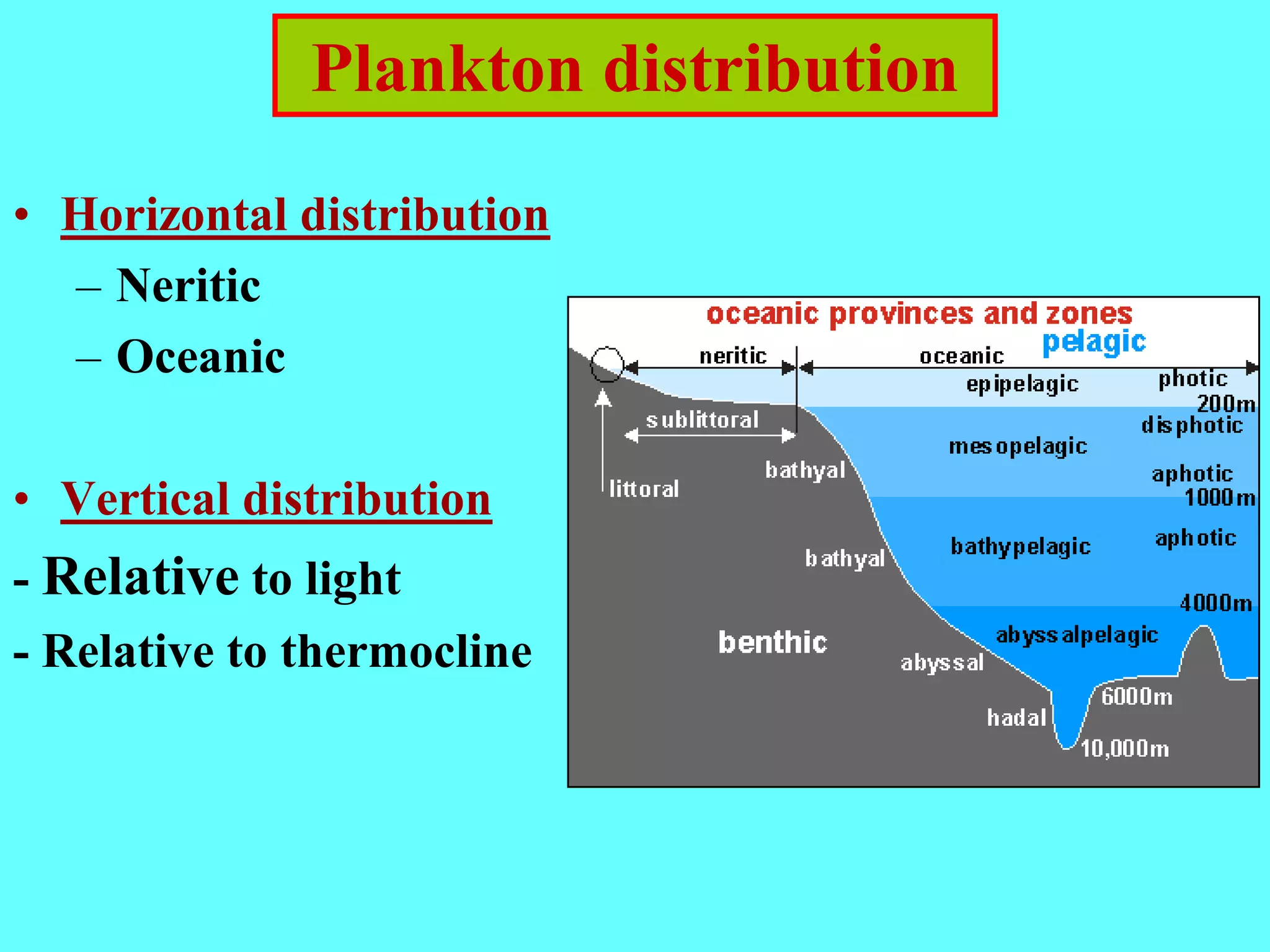 Plankton distribution
• Horizontal distribution
– Neritic
– Oceanic
• Vertical distribution
- Relative to light
- Relative to thermocline
 