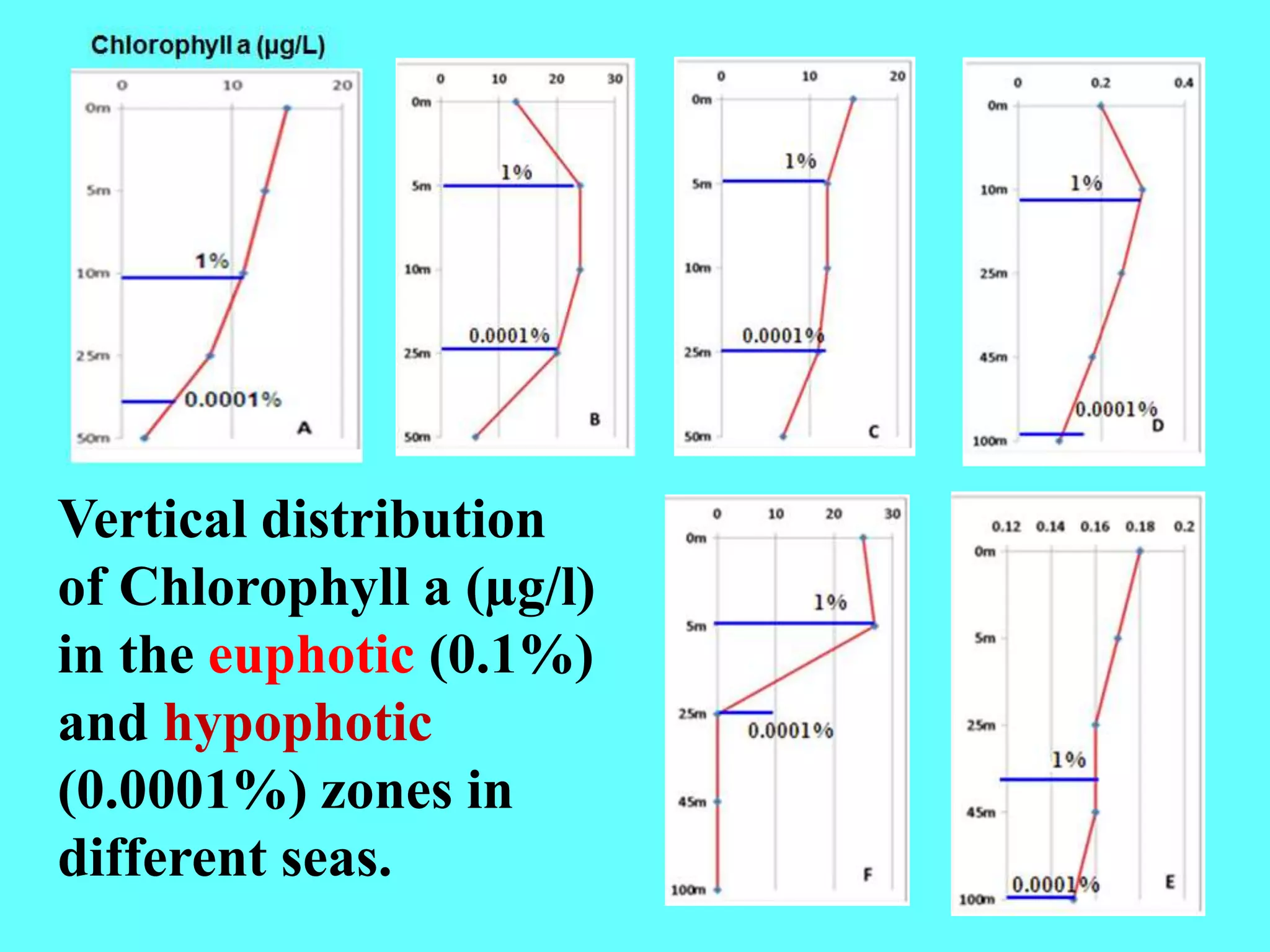 Vertical distribution
of Chlorophyll a (µg/l)
in the euphotic (0.1%)
and hypophotic
(0.0001%) zones in
different seas.
 