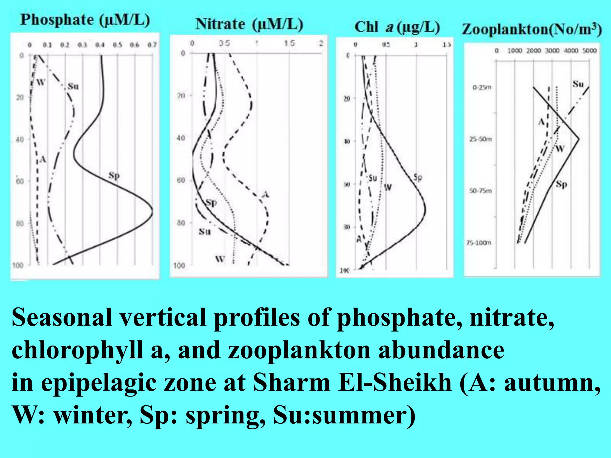 Seasonal vertical profiles of phosphate, nitrate,
chlorophyll a, and zooplankton abundance
in epipelagic zone at Sharm El-Sheikh (A: autumn,
W: winter, Sp: spring, Su:summer)
 