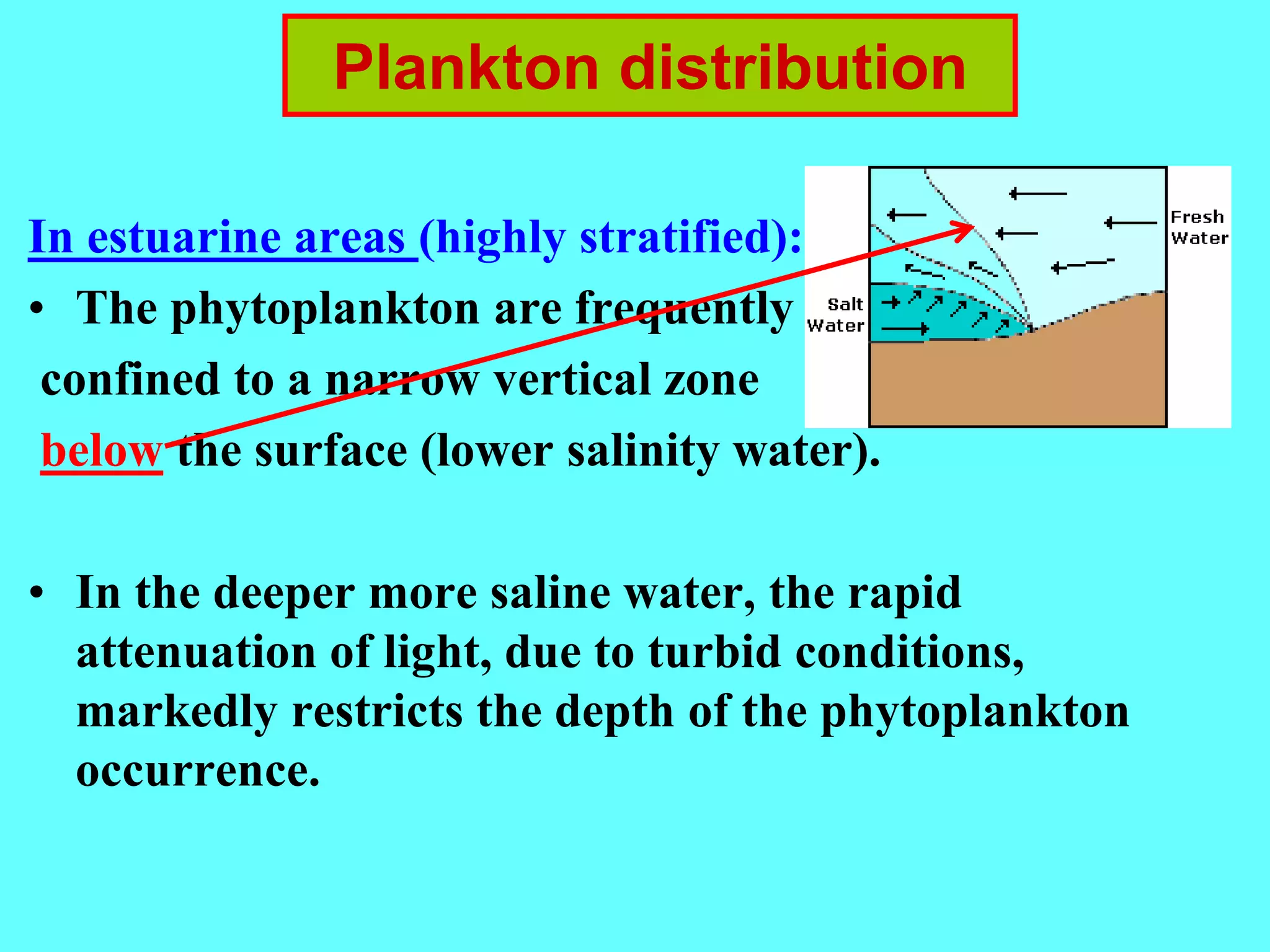 In estuarine areas (highly stratified):
• The phytoplankton are frequently
confined to a narrow vertical zone
below the surface (lower salinity water).
• In the deeper more saline water, the rapid
attenuation of light, due to turbid conditions,
markedly restricts the depth of the phytoplankton
occurrence.
Plankton distribution
 