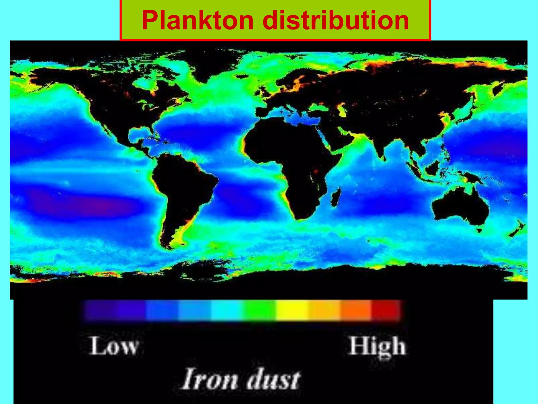 Plankton distribution
 