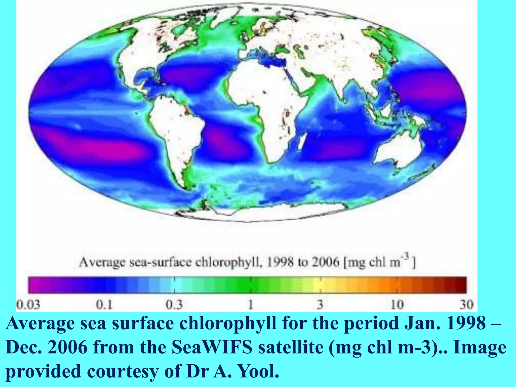 Average sea surface chlorophyll for the period Jan. 1998 –
Dec. 2006 from the SeaWIFS satellite (mg chl m-3).. Image
provided courtesy of Dr A. Yool.
 