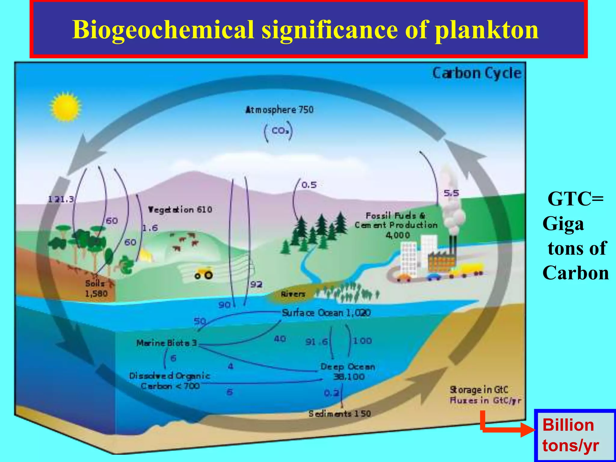 Biogeochemical significance of plankton
Billion
tons/yr
GTC=
Giga
tons of
Carbon
 